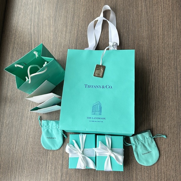Tiffany&Co. The Landmark 727 Fifth Ave. New York huge gift bag set w silver tag - Picture 2 of 9